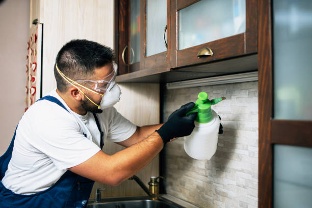 Best Insect Control  in Waldo, AR