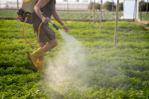 Best Best Pest Control Companies  in Waldo, AR