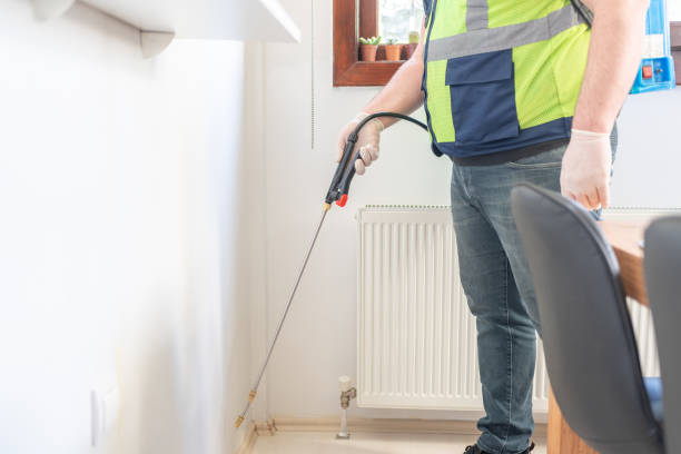 Wasp Removal Services in Waldo, AR